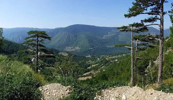 Two-Day Tara Rafting from Radovan Luka